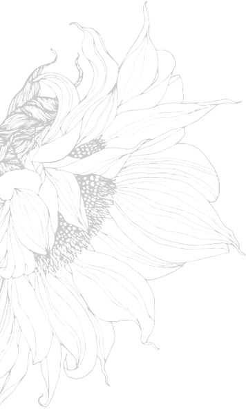 image-bg-01